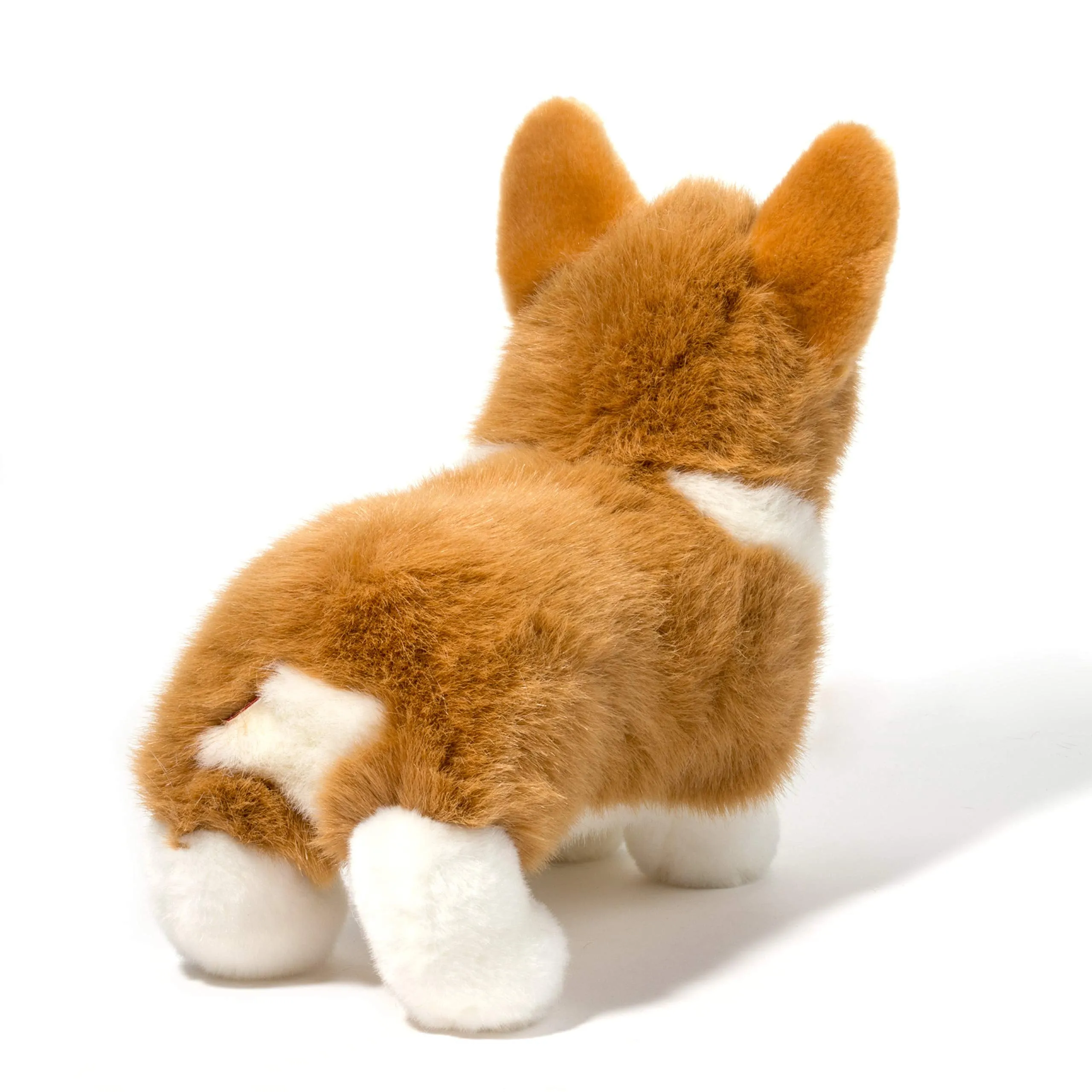 Ingrid The Corgi