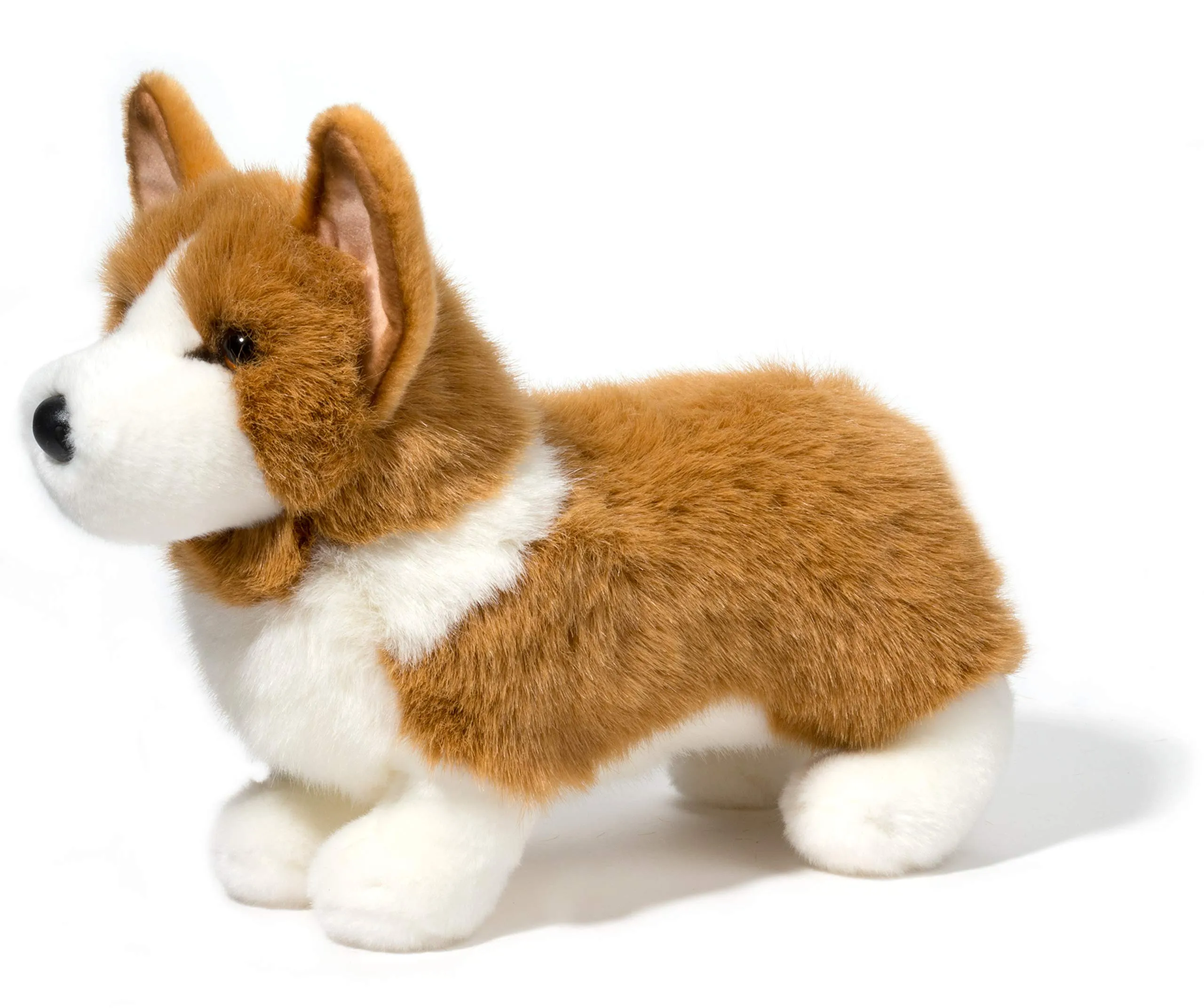 Ingrid The Corgi