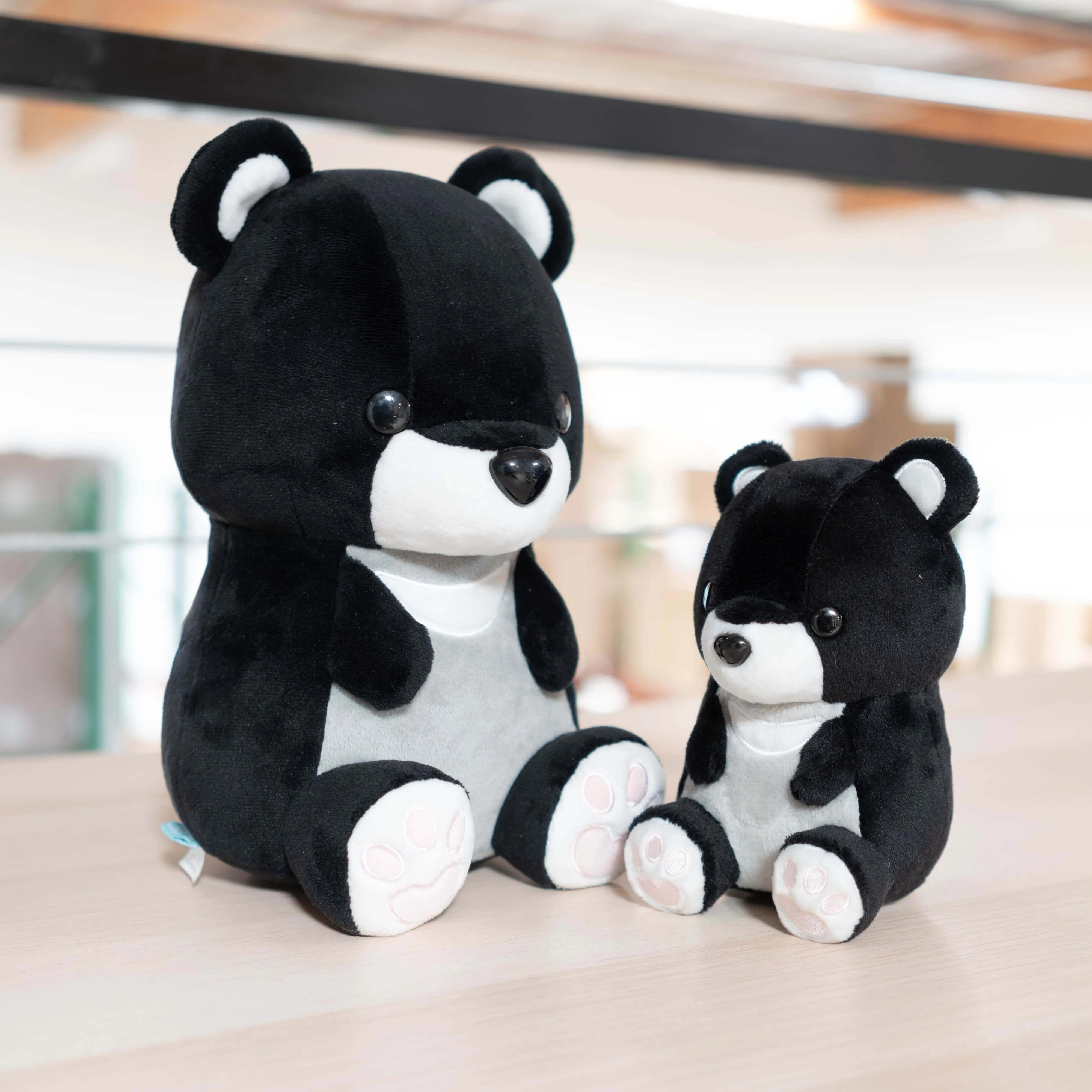 Mini Moonbi the Moon Bear
